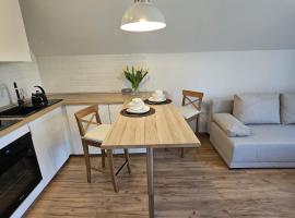 Apartament w sercu Oliwy，位于格但斯克Oliwa Park附近的酒店