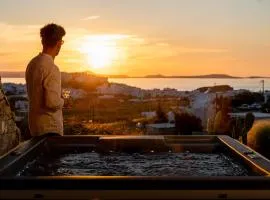 Opuntia Suites