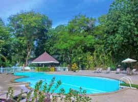 Phi Phi Bayview Resort