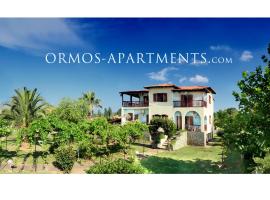 Ormos Apartments，位于奥马斯帕纳吉亚斯的酒店