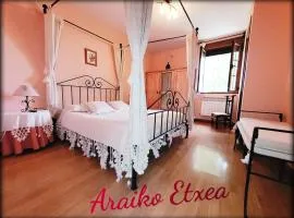 Araiko Etxea Casa Rural