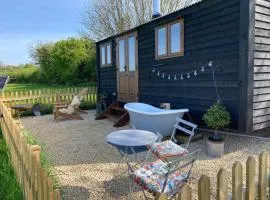 Marsh Farm Glamping Flittermouse Shepherd Hut
