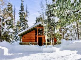 Lovely Log Cabin With Fire Pit!，位于达克科里克村的酒店