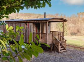 Betty Shepherd's Hut，位于利德尼的酒店