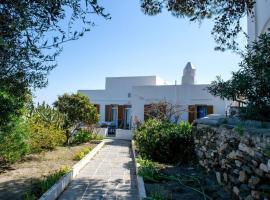 Villa Depasta Cycladic house Aegean Sea view，位于阿波罗尼亚的酒店