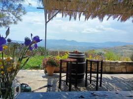 Traditional Creta stone house in serenity village，位于Vitsiliá的酒店