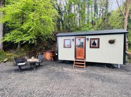Romantic Shepherds Hut with Hot Tub in The Heart of Snowdonia，位于多尔盖罗的酒店