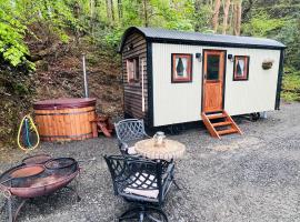 Romantic Shepherd Hut with Optional Hot Tub in Snowdonia，位于多尔盖罗的乡村别墅