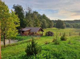 Cabana Trei Brazi Cacica，位于卡奇卡的酒店
