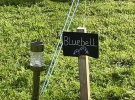 Willow glamping