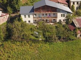 Guest House IRAKLI，位于P'ari的酒店