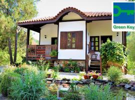 Golden Horn Guest House，位于Iskrets的酒店