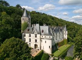 Château de Chissay，位于齐塞恩·都兰的酒店