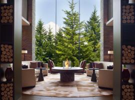 Higashiyama Niseko Village, a Ritz-Carlton Reserve，位于二世古的酒店