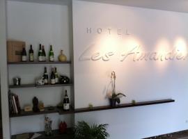 Hotel Les Amandiers，位于罗纳河畔的图尔农的酒店