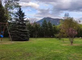 Mobil home sur grand terrain clôturé et arboré