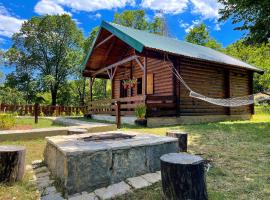 Cabin House Dubovik，位于采蒂涅的酒店