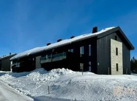 New apartment Hafjelltoppen ski inout