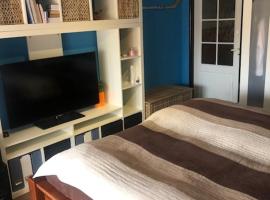 Apartmán Skvělá Nálada，位于Všemyslice的酒店