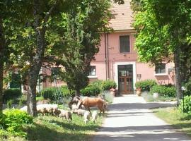 Country House Villa delle Rose Agriturismo，位于廖内罗因武尔图雷的酒店