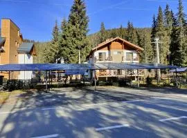 Complex Transalpina Lac