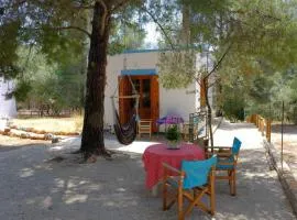 little house in forest