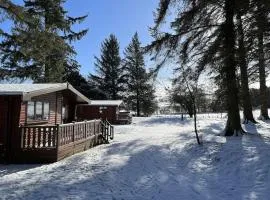 Secluded Pine Lodge 1