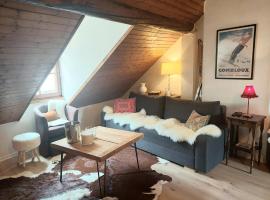 Chalet charm in the heart of the old town - 40m2，位于安锡的木屋