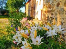 Grand Gîte Confortable en Auvergne - Belle vue，位于Brousse的酒店