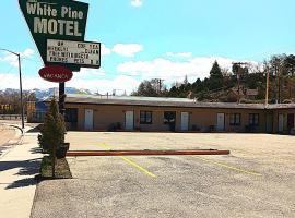 White Pine Motel，位于伊利的汽车旅馆