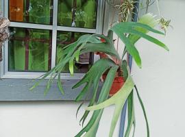 New Garden View GF Double Room FREE parking，位于Batu Unjor的酒店