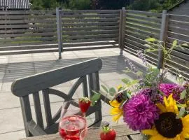 Ferienwohnung Heeser Birkenhof - Urlaub auf dem Bauernhof mit Blick ins Grüne，位于韦策机场 - NRN附近的酒店