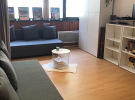 Appartement Super Besse，位于苏佩贝斯的酒店