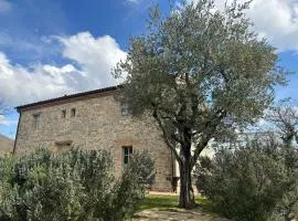 Borgo Cardaneto