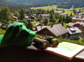 Studio avec vue splendide sur les Diablerets，位于莱迪亚布勒雷的酒店