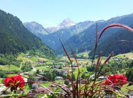 Alpenpension Maderer，位于加舒恩的酒店