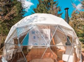 Medve Dome - Luxury Camping in the middle of nature，位于弗勒希察的豪华帐篷营地
