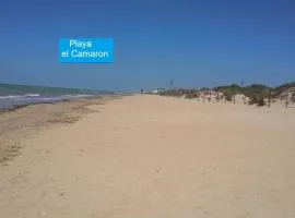 La Pavona 11 - 1ª línea de Playa Chipiona