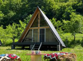 Cabane A-Frame Svinița，位于SviniţaLepenski Vir附近的酒店