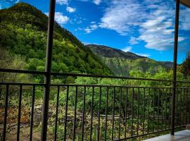 White House In Borjomi，位于博尔若米的度假短租房