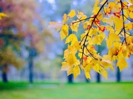 The Teachers Cottage