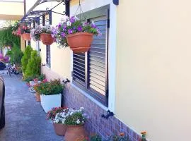 Charming House in Canosa Sannita