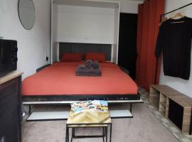 chambre 2 pas du centre-ville，位于吉索尔的酒店