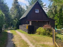 domki nad jeziorem, las, do 10 osób jezioro Wilczyńskie Budzisławskie - domek letniskowy osobno ogrodzony, ogrzewany mile widziane pieski, zwierzeta- wielkopolska, 62-550 Zygmuntowo gm Wilczyn，位于Zygmuntowo的酒店