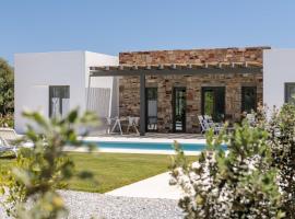 STONE VILLA NAXOS