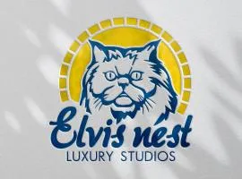Elvis Nest