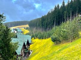 Nordian chalet next to Bukovel ski lift，位于布克维的乡村别墅