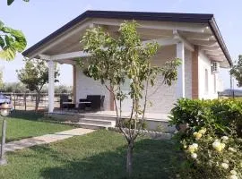 Centro Ippico Iannibelli