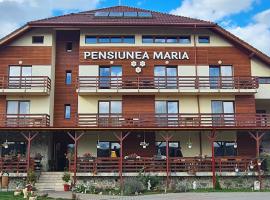 Pensiunea Maria，位于吉勒乌的家庭/亲子酒店