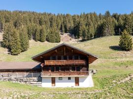 Chalet Naulaz by Interhome，位于瓦尔·蒂利兹的酒店